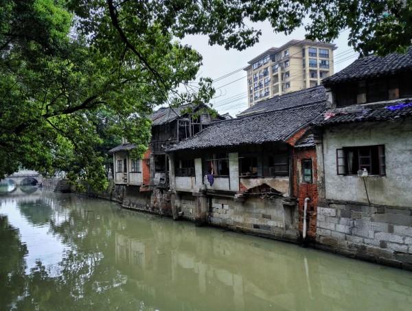 保护地迎新员——绿会猛禽保护地(CCAfa213)正式成立!